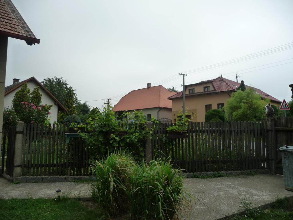 Třibřichy